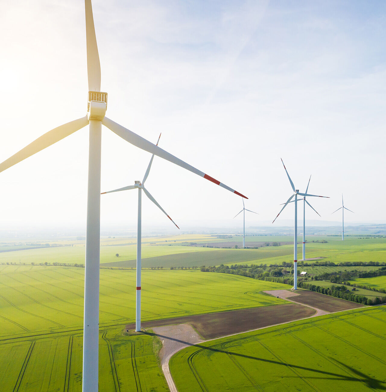 Diverse turbine eoliche si ergono in un vasto campo verde sotto il sole.