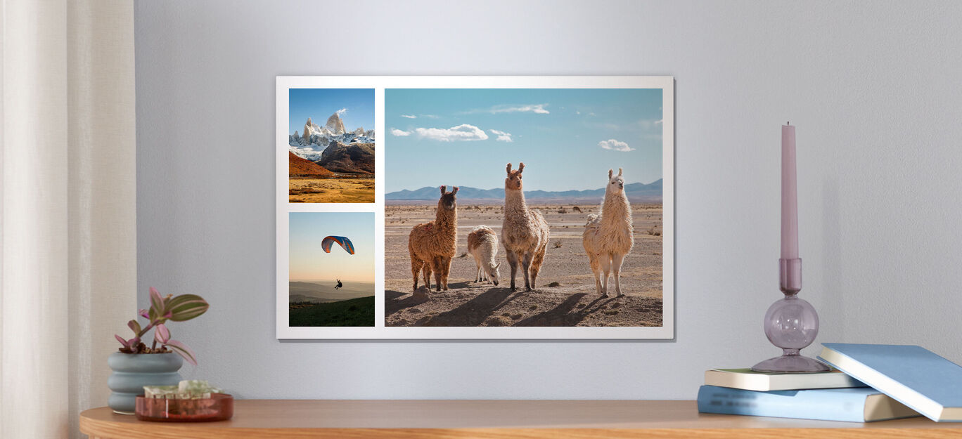 Tre lama sono in compagnia in un paesaggio desertico, circondati da un panorama montano e un paracadute colorato sullo sfondo. CEWE Quadro