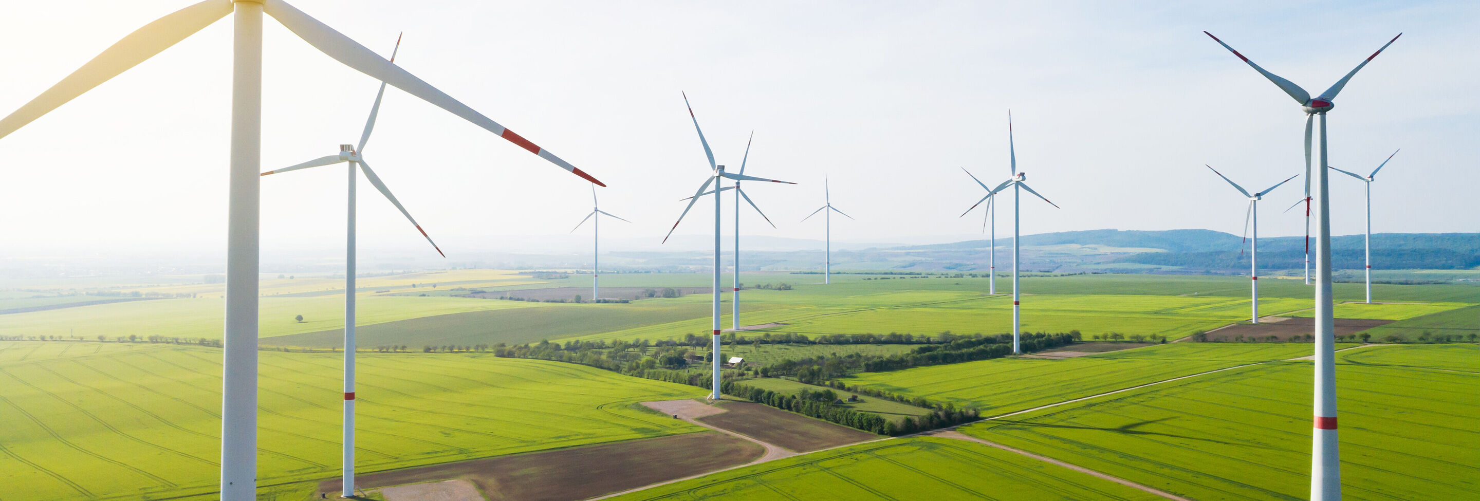 Ampia vista di grandi turbine eoliche in un vasto campo verde