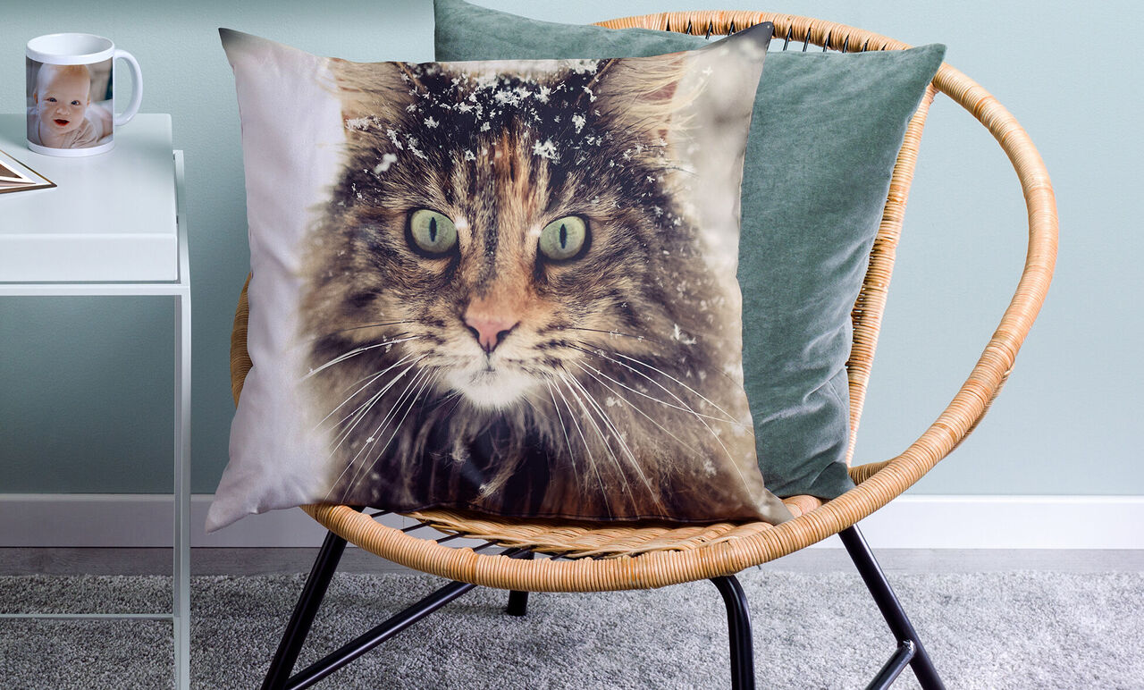 Cuscino con immagine di un bel gatto con neve nel pelo.