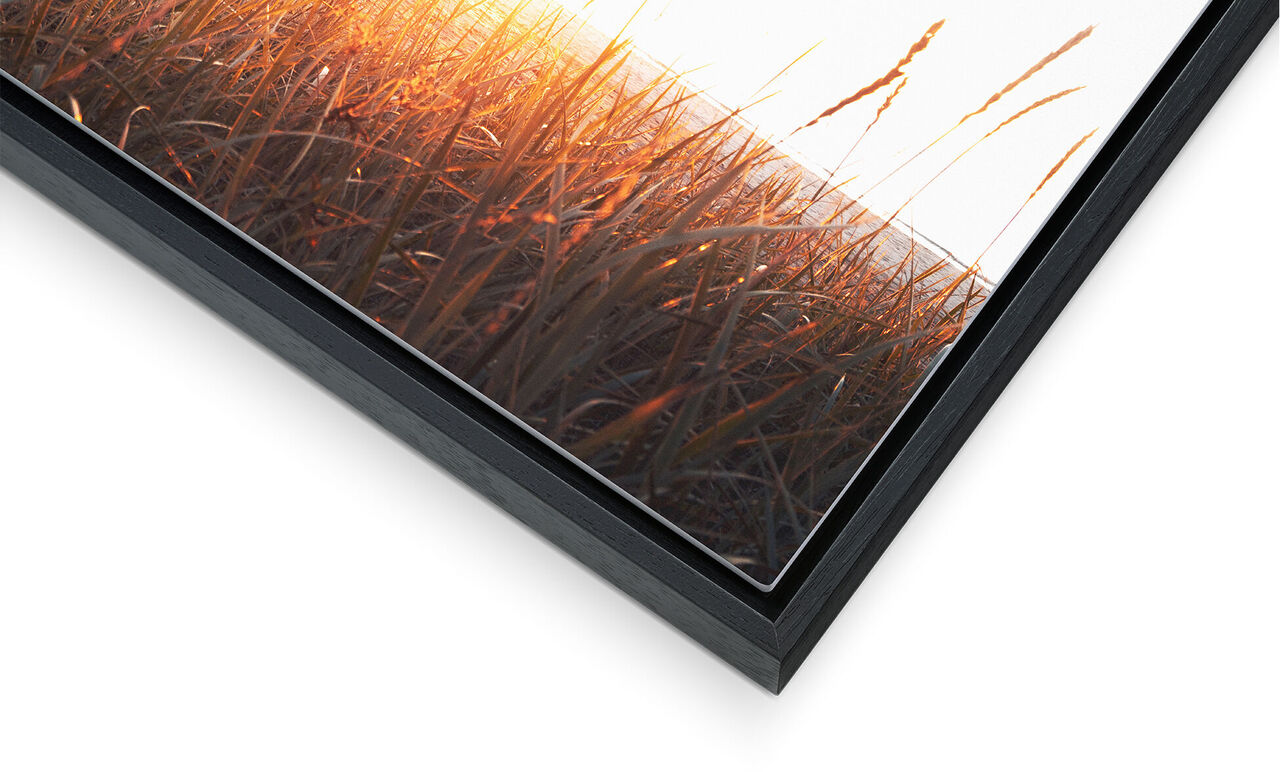 Dettaglio di un quadro con raggi di sole e erba.