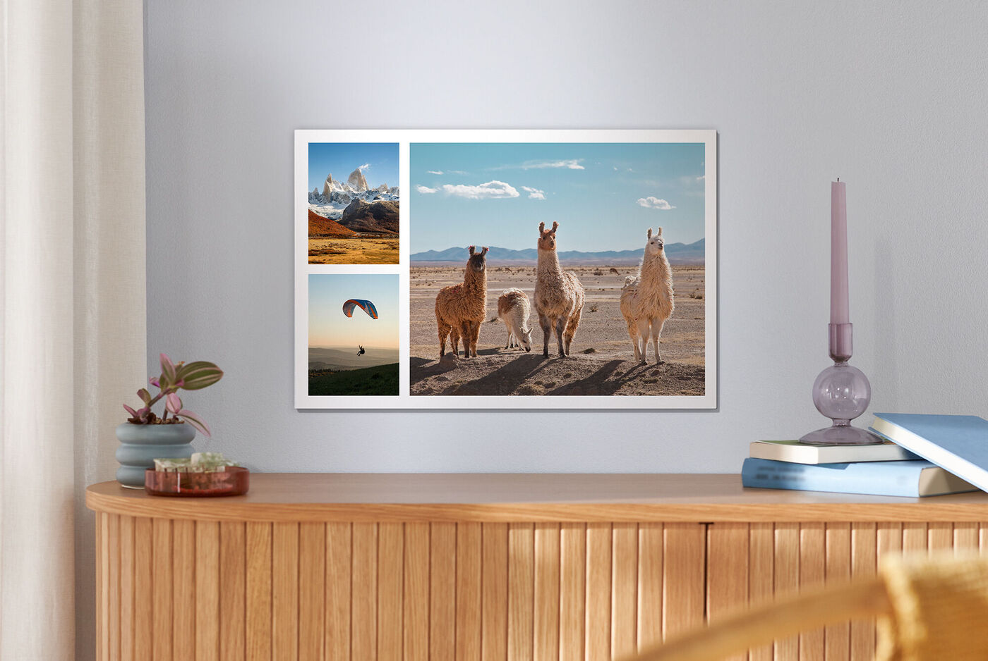 Un elegante quadro con quattro immagini di alpacche e paesaggi montani.