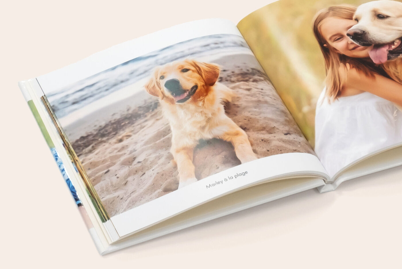 Design del FOTOLIBRO CEWE