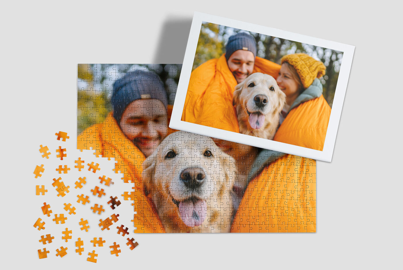 Un Golden Retriever sorride da un sacco a pelo arancione. Sfondo autunnale colorato